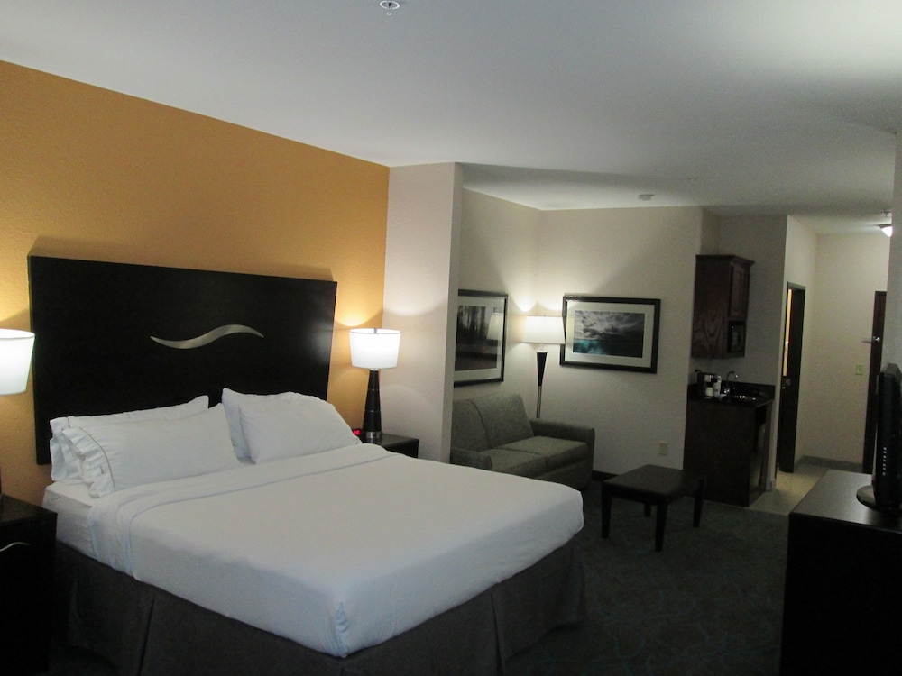 Suite, 1 King Bed, Accessible (Accessible Tub) - Photo 1
