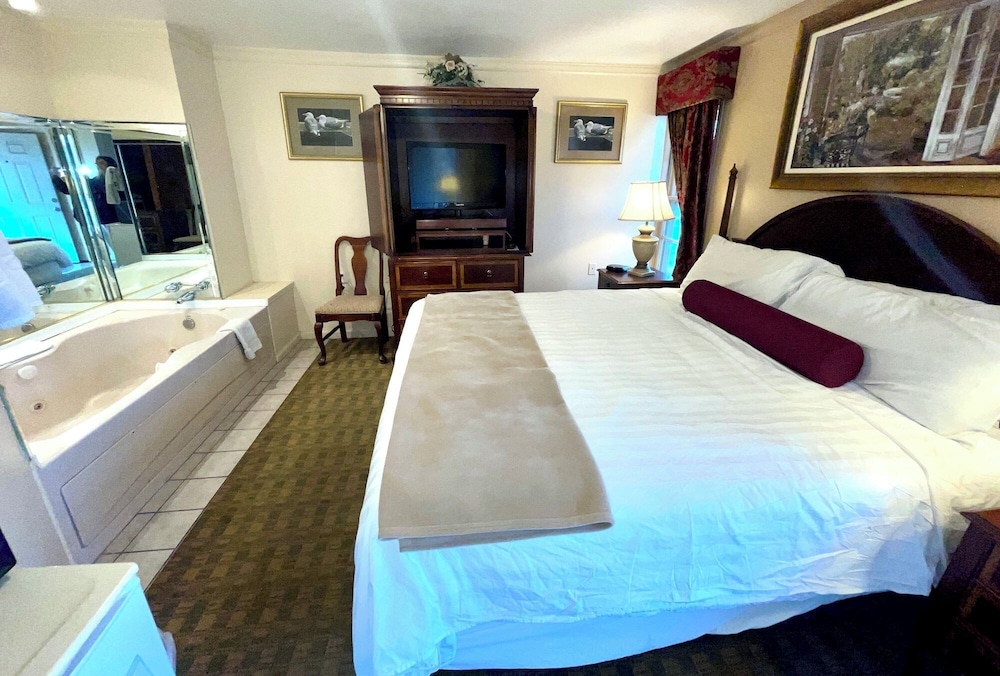 Single Room, 1 King Bed, Non Smoking, Jetted Tub photo 1