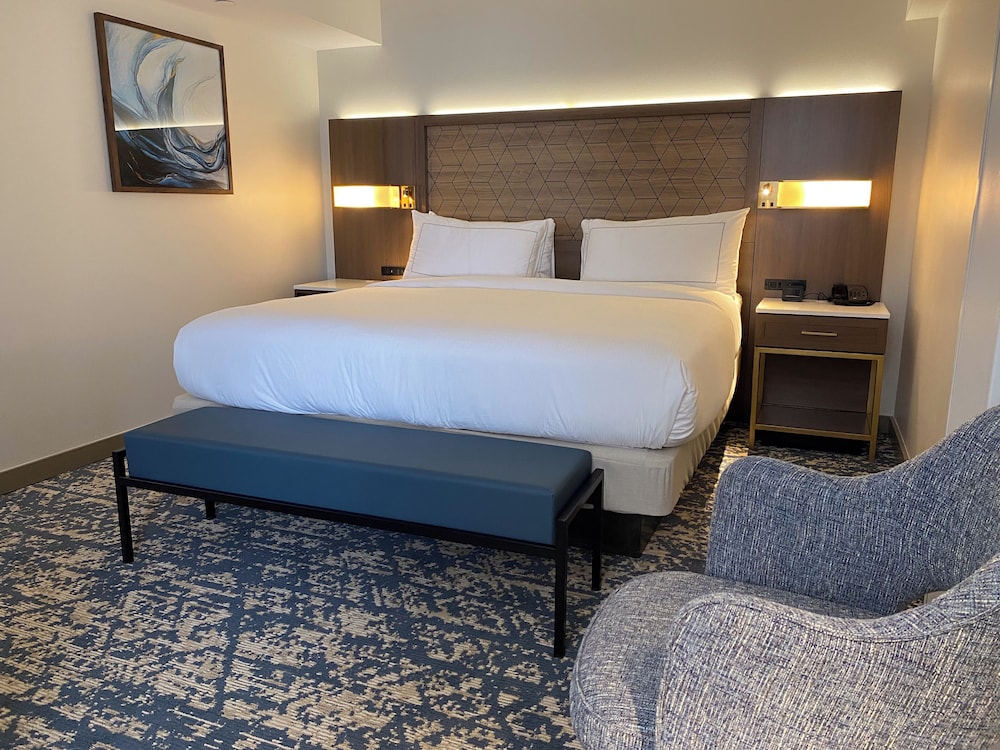 Junior Suite, 1 King Bed, Accessible (Mobility & Hearing, Roll-in Shower) - Photo 2