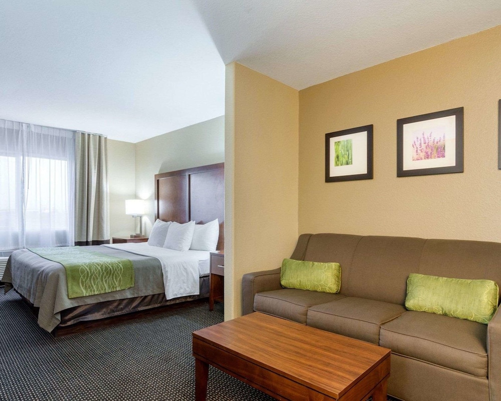 Suite, 1 King Bed with Sofa bed, Non Smoking (Upgrade) - Photo 2