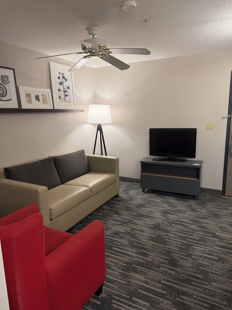 Suite, 1 King Bed, Non Smoking photo 1