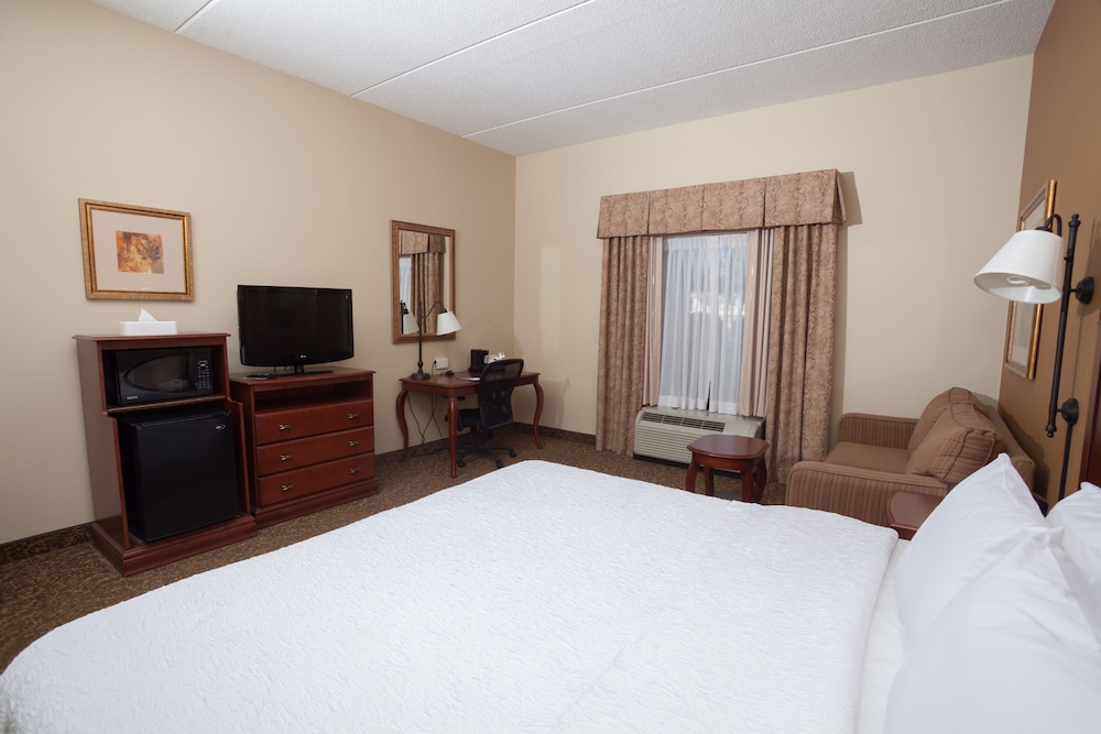 Room, 1 King Bed, Accessible, Non Smoking photo 3