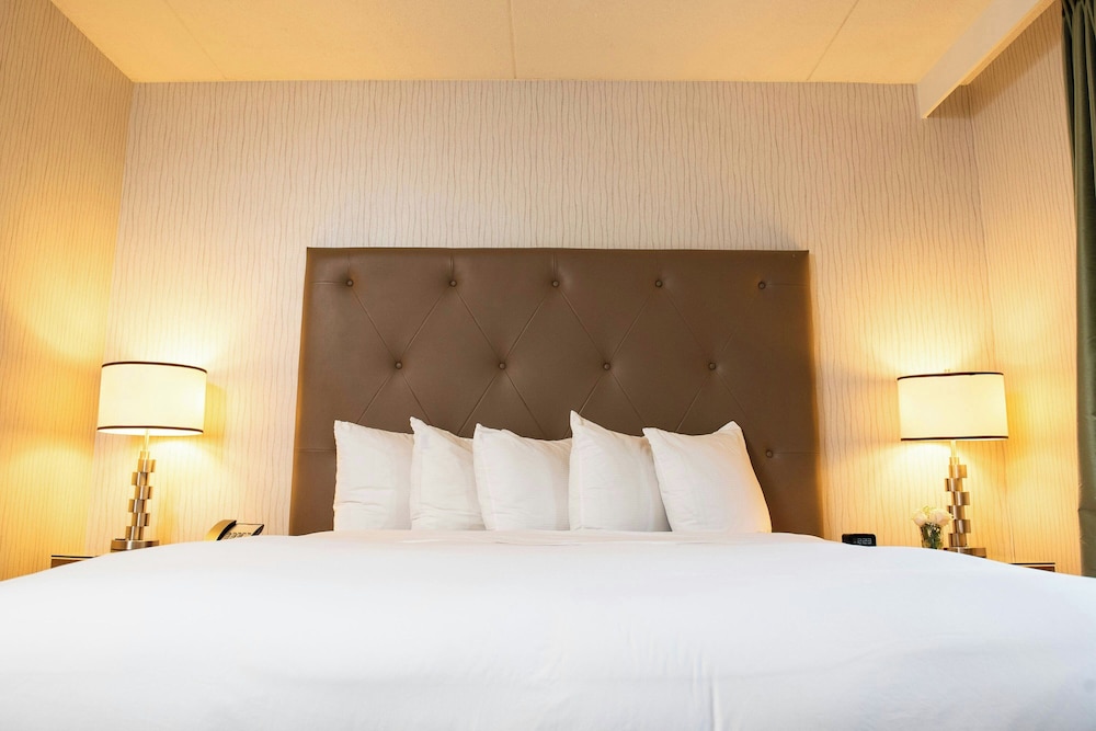 Suite, 1 Bedroom - Photo 3