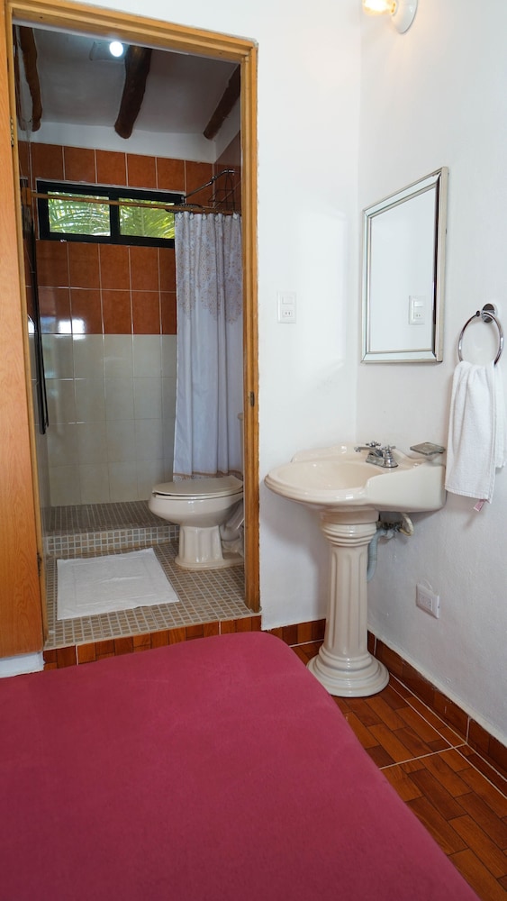 Basic Single Room photo 2