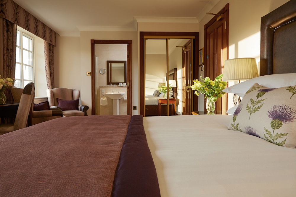Junior Suite, 1 King Bed (Super Deluxe Double) photo 2
