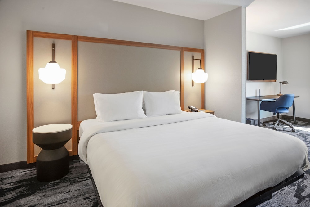 Suite, 1 King Bed with Sofa bed (Hearing Accessible) photo 2