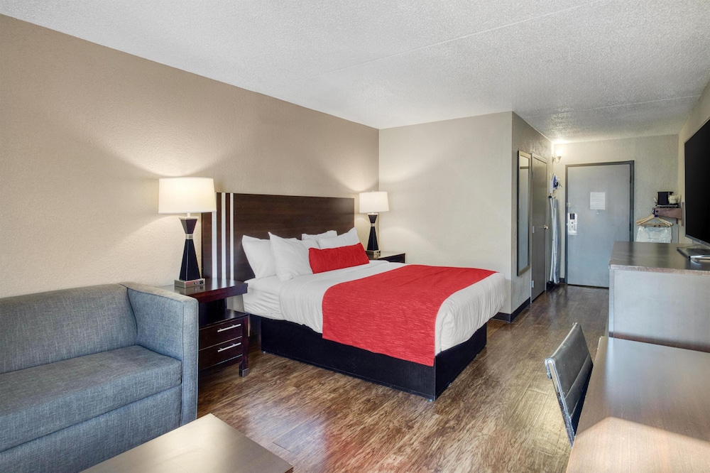 Standard Room, 1 King Bed, Non Smoking, Refrigerator & Microwave (with Sofabed) - Photo 1