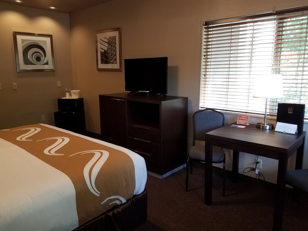 Standard Room, 1 King Bed, Non Smoking, Microwave - Photo 2