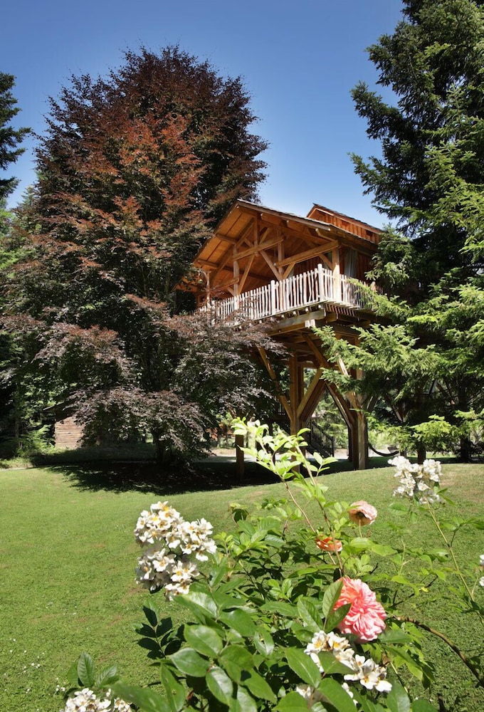 Exclusive Tree House photo 2