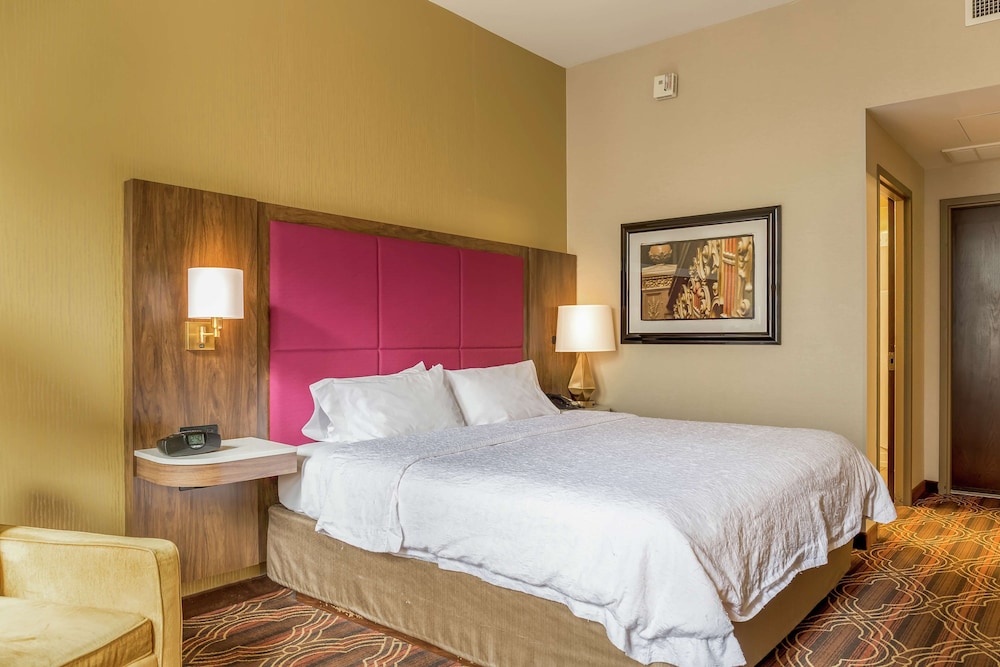 Room, 1 King Bed, Accessible - Photo 4