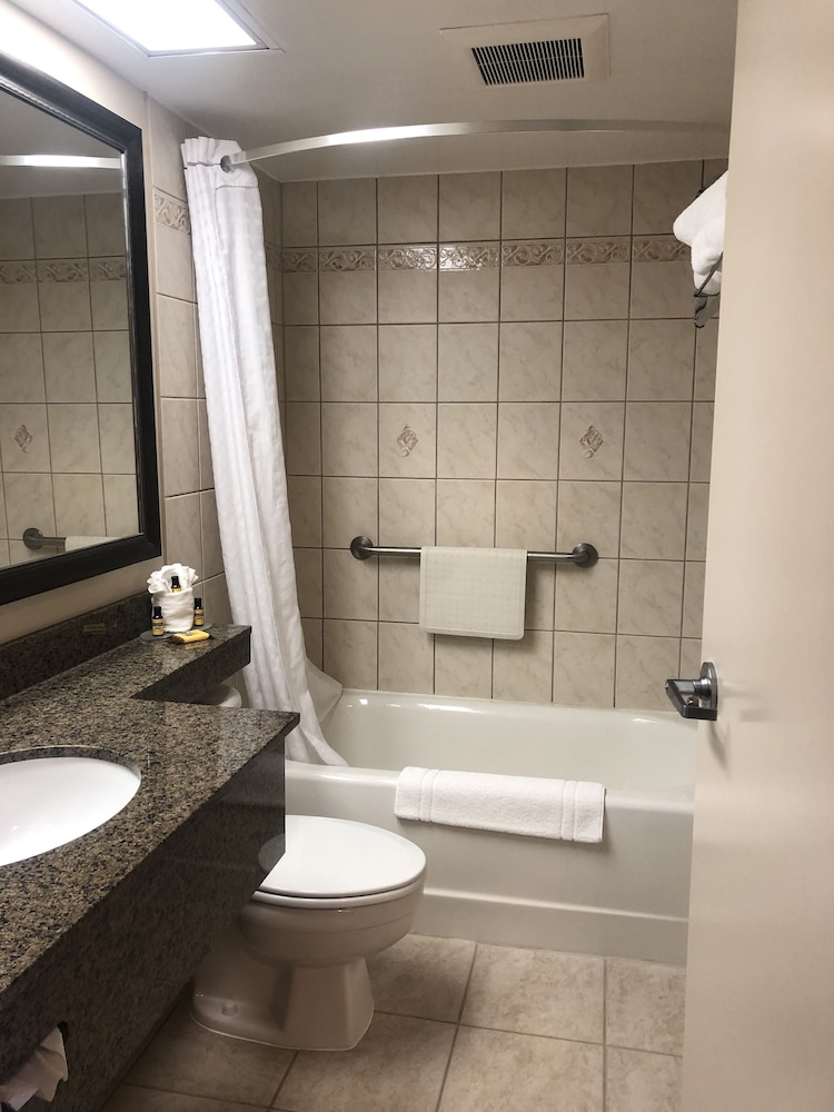 Standard Room, 1 King Bed, Non Smoking, Refrigerator (with Sofabed) photo 3