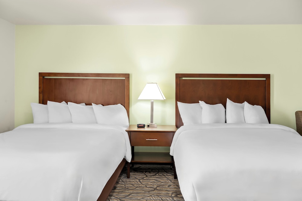 Comfort Studio Suite, 2 Queen Beds, Mobility Accessible photo 3