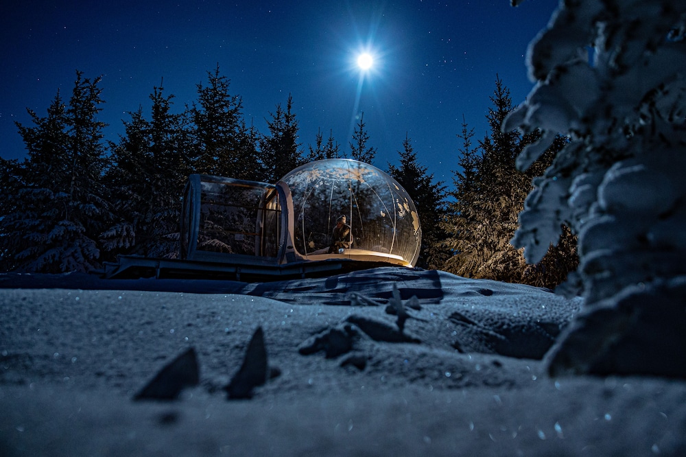Standard Tent - Photo 12