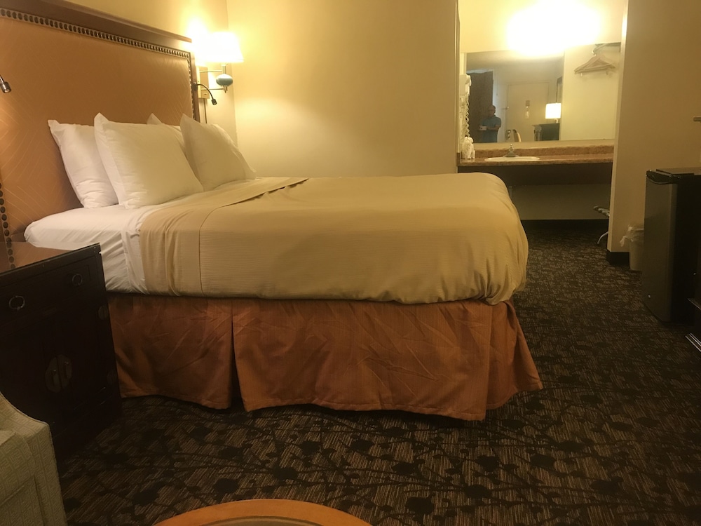 Room, 1 King Bed photo 3