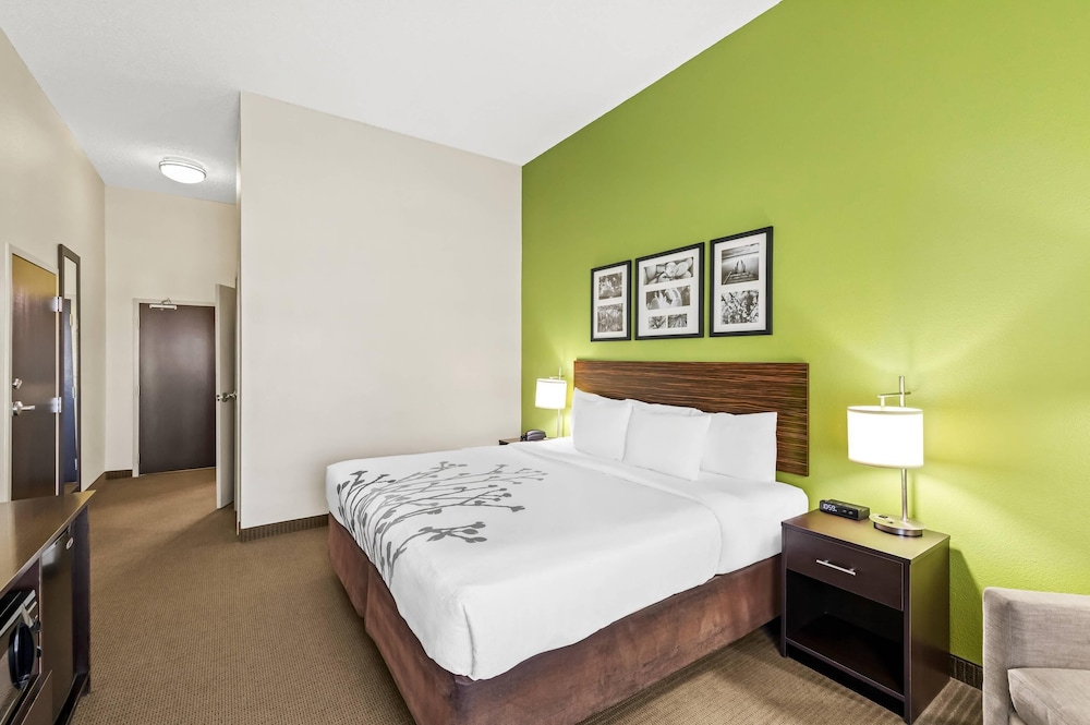 Room, 1 King Bed, Accessible, Non Smoking - Photo 4