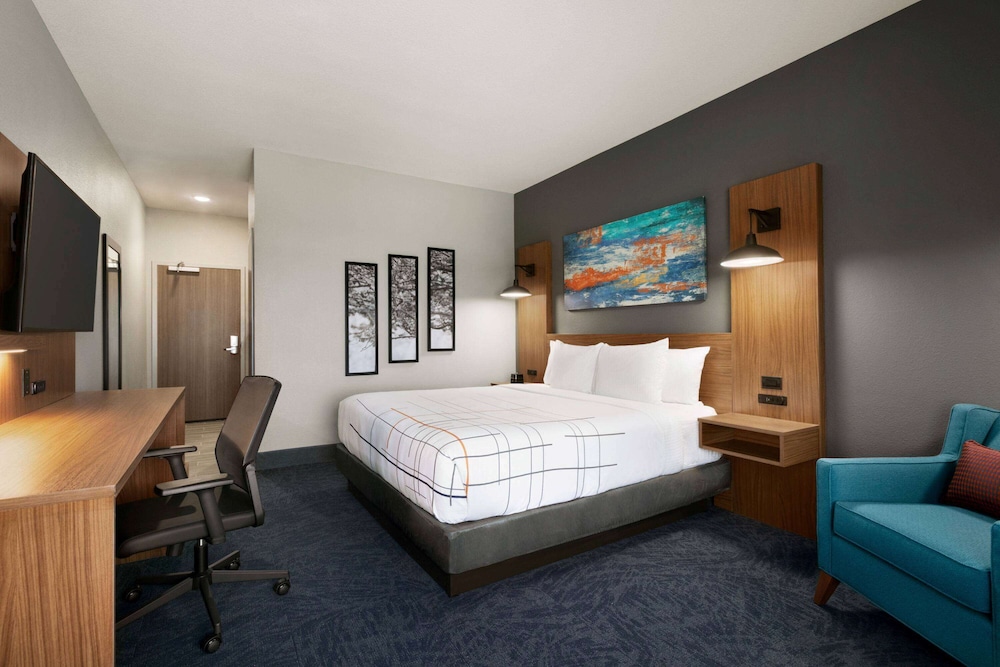 Room, 1 King Bed, Accessible, Non Smoking (Mobility/Hearing, Roll-In Shower) - Photo 2