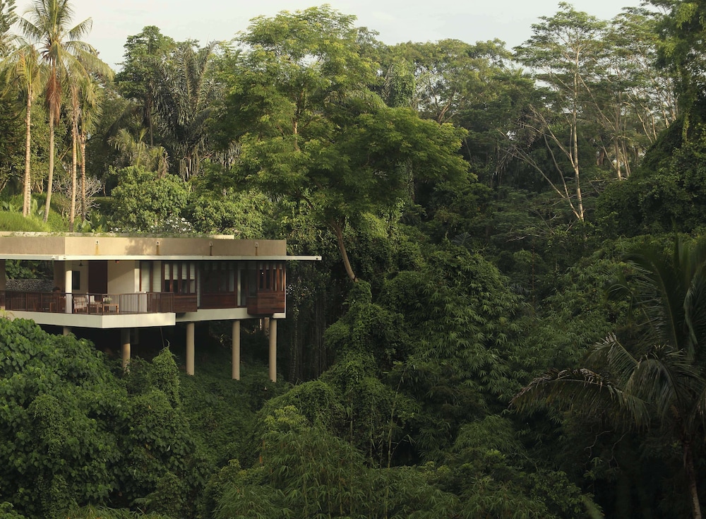 Villa (Forest Edge) - Photo 12