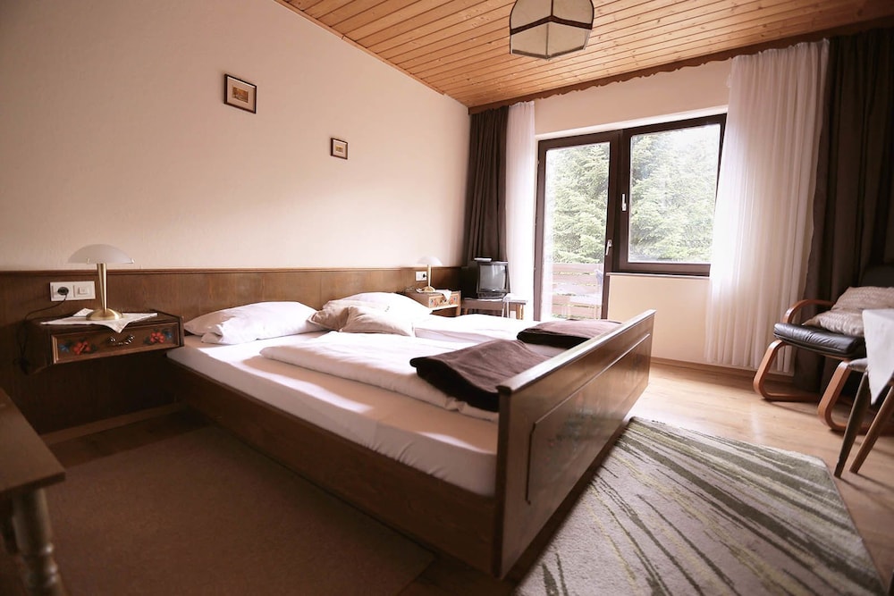 Single Room, 1 Twin Bed, Non Smoking, Mountain View photo 1
