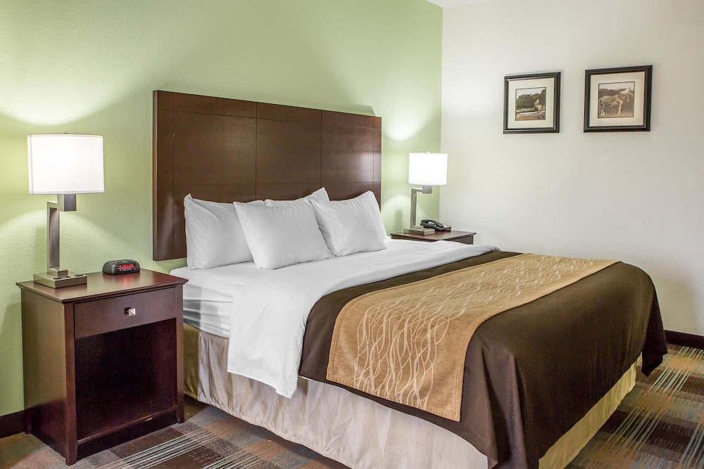 Room, 1 King Bed, Accessible, Non Smoking photo 1