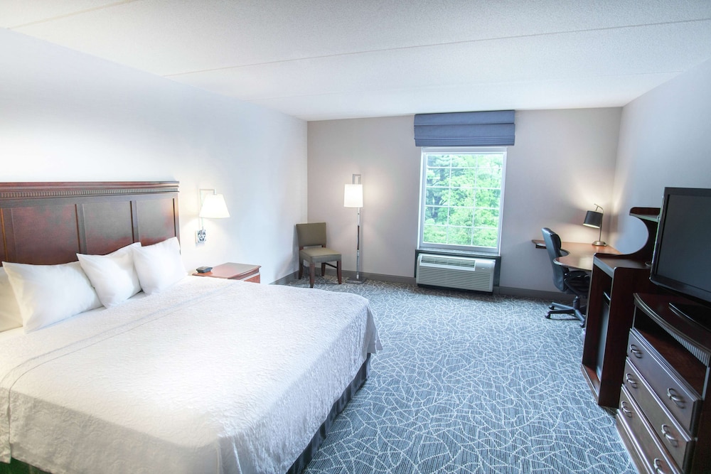 Room, 1 King Bed, Accessible - Photo 4