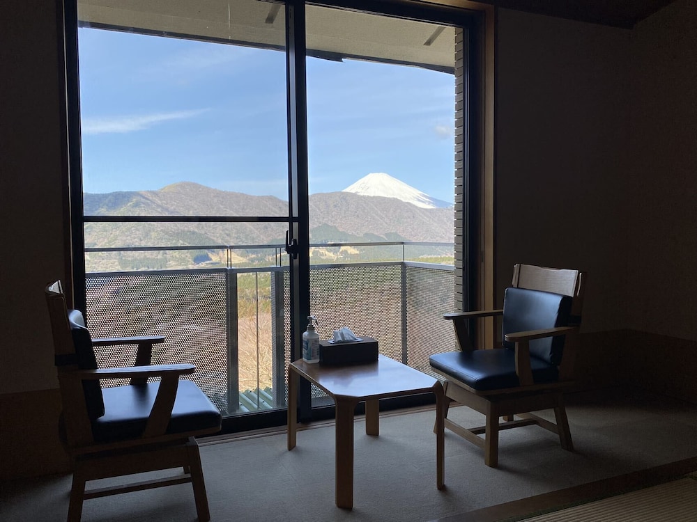 Japanese Style Room - Photo 4