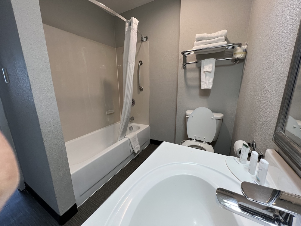 Studio Suite, Multiple Beds, Non Smoking photo 3