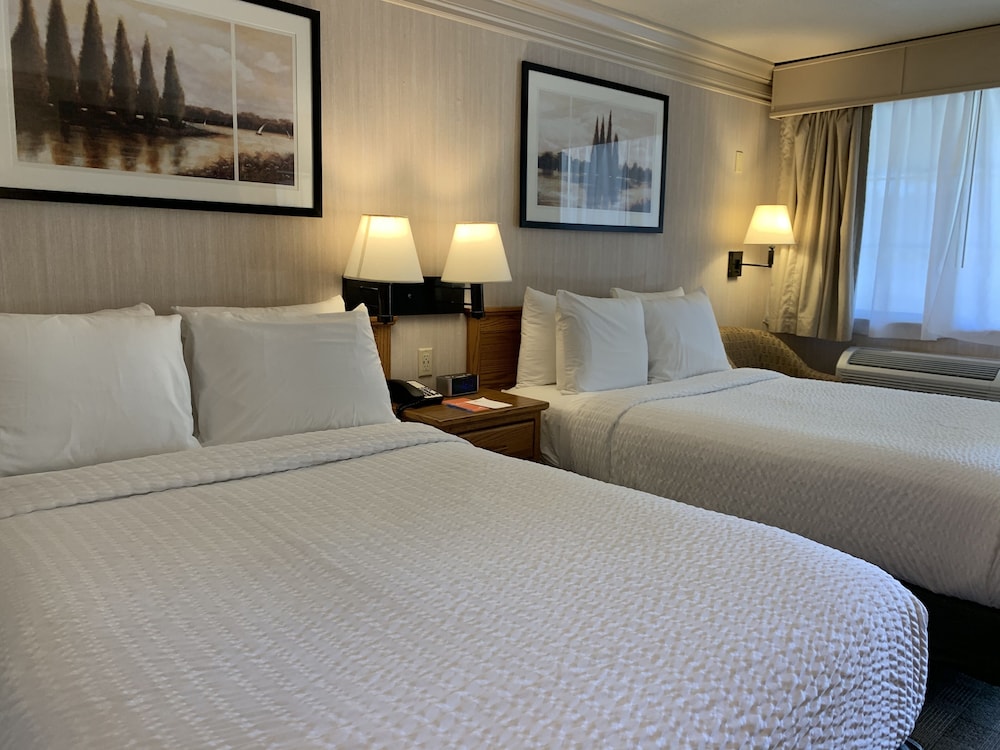 Single Room, 2 Double Beds photo 3