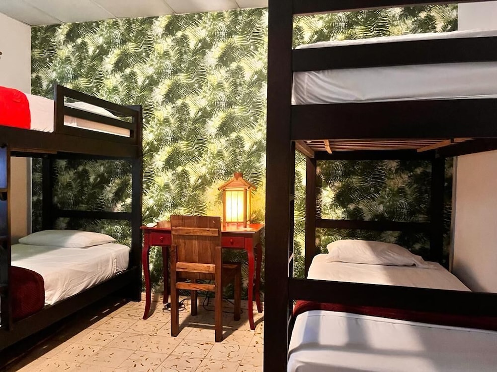 Basic Shared Dormitory photo 1
