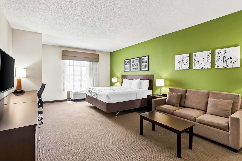 Suite, 1 King Bed with Sofa bed, Accessible, Non Smoking - Photo 1