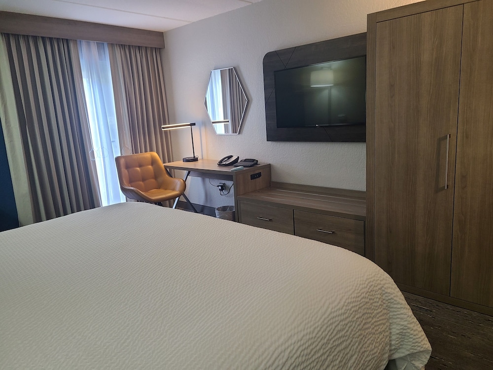 Standard Room, 1 King Bed, Accessible (Communications, Accessible Tub) - Photo 5