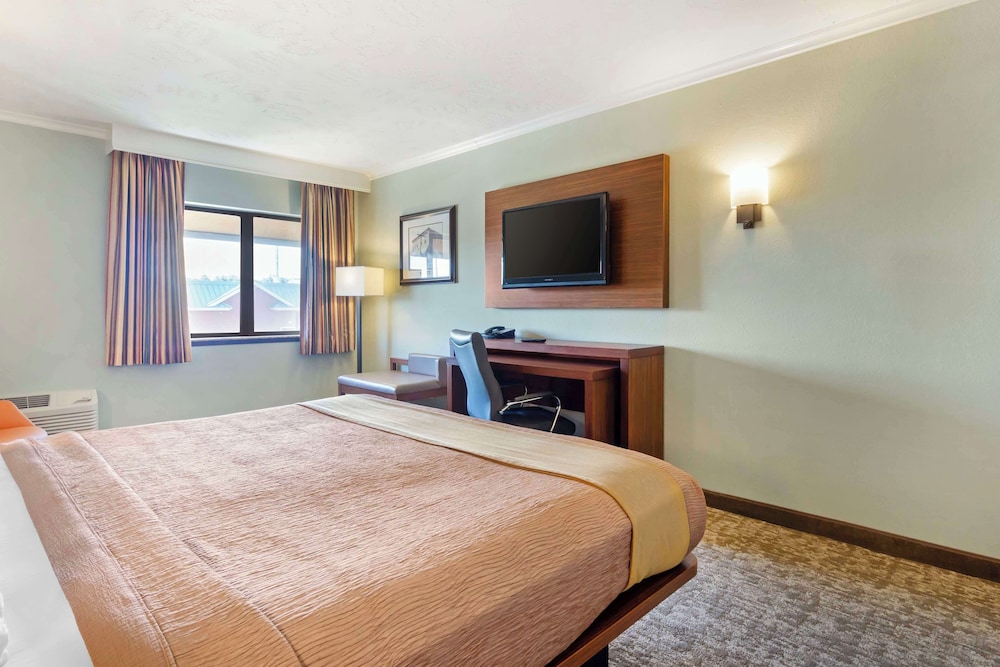 Standard Room, 1 Queen Bed, Non Smoking, Refrigerator & Microwave