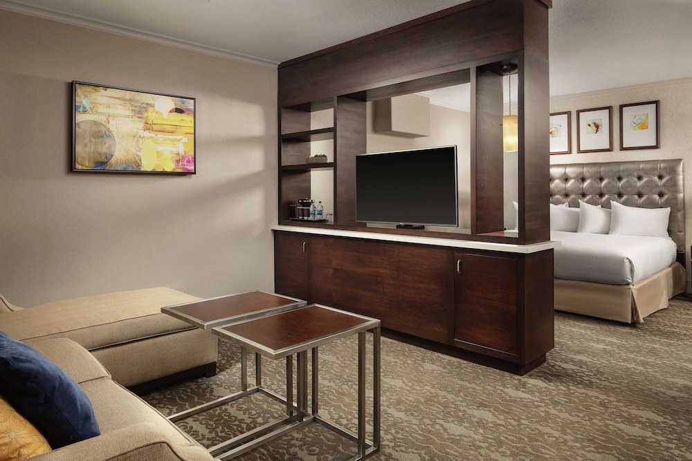Suite - Photo 4