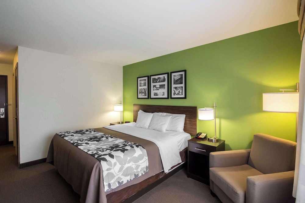 Room, 1 King Bed, Accessible, Non Smoking - Photo 2