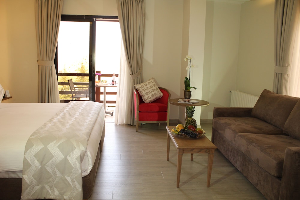 Premium Room, 1 Queen Bed (Slopes View) - Photo 2