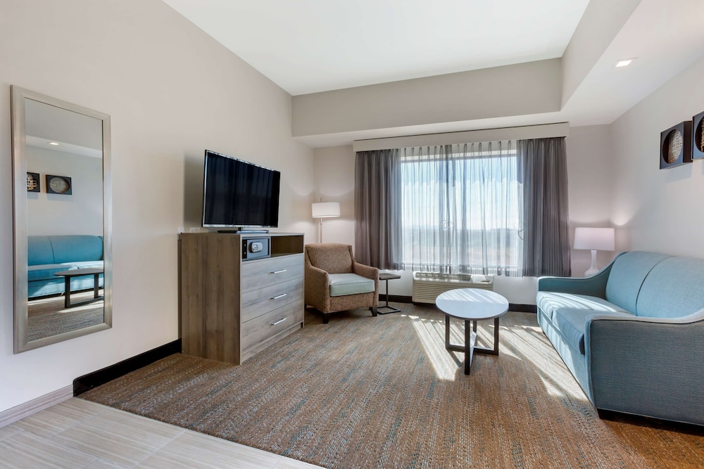 Suite, 1 King Bed, Non Smoking, Kitchenette (with Sofabed) - Photo 4