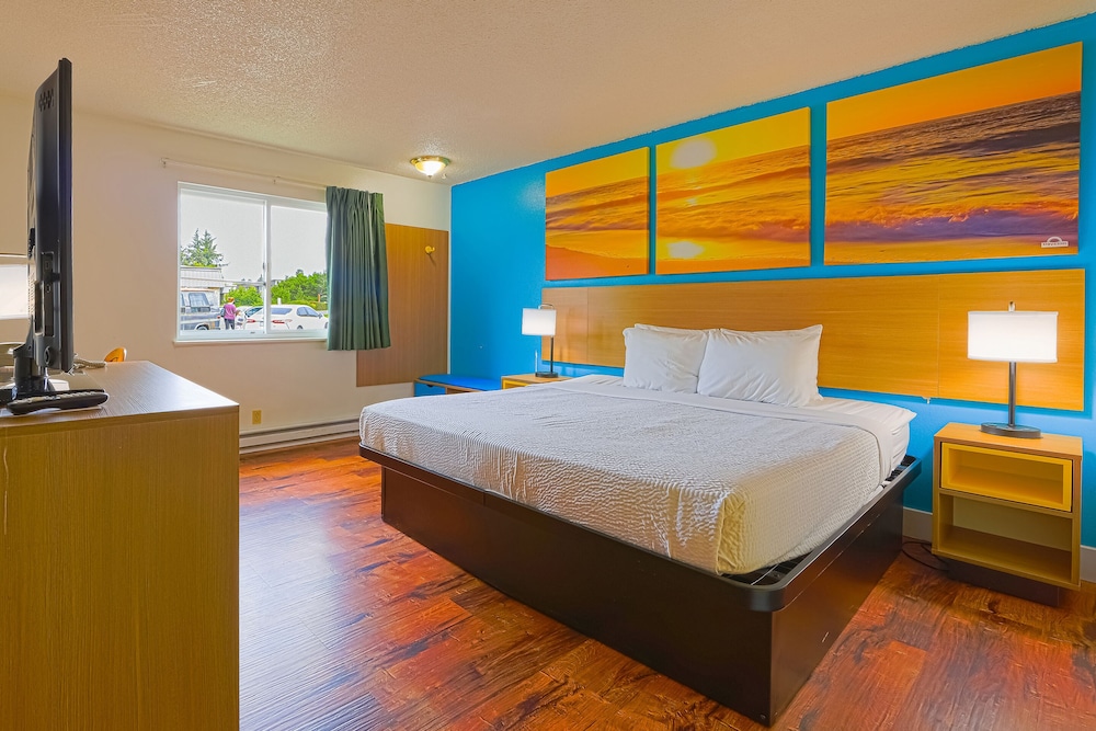 Room, 1 King Bed photo 1