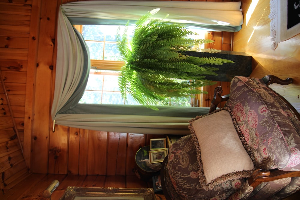 Standard Room, 1 King Bed, Non Smoking, Shared Bathroom (Romantic Room) photo 3
