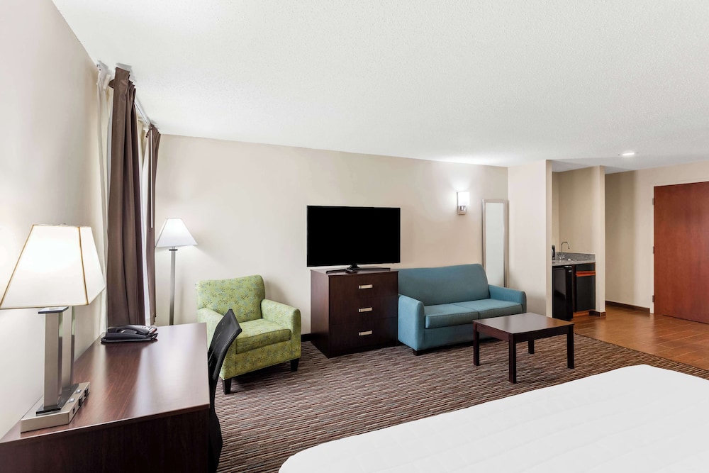 Standard Room, 1 King Bed, Non Smoking, Jetted Tub (with Sofabed) - Photo 3