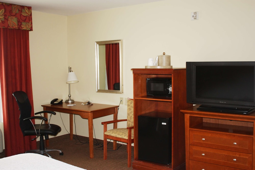 Room, 1 King Bed, Accessible, Non Smoking photo 1