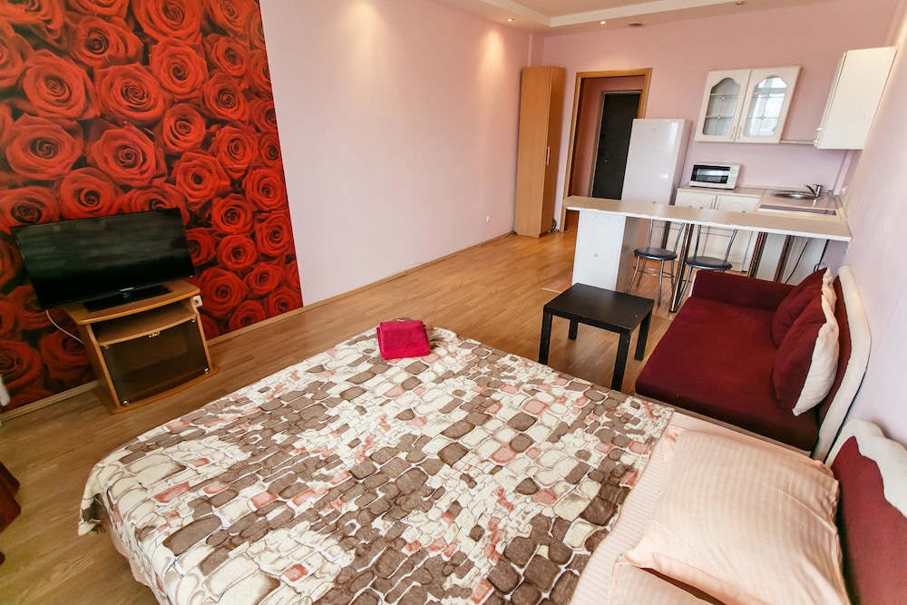 Standard Apartment photo 2