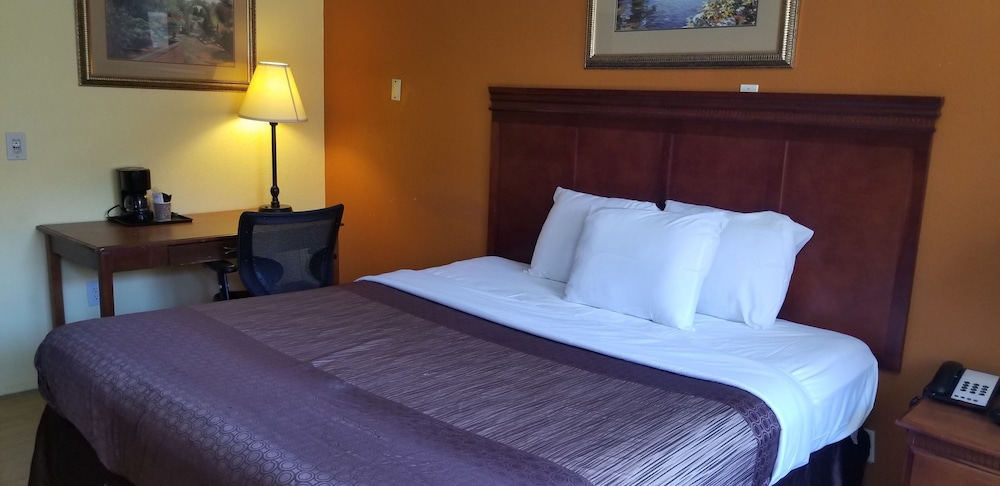 Comfort Single Room, 1 King Bed, Smoking photo 3