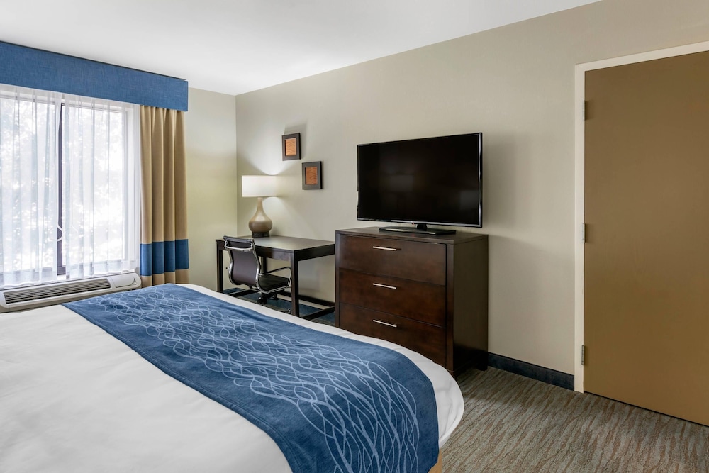Room, 1 King Bed, Non Smoking (Pet Friendly) - Photo 4