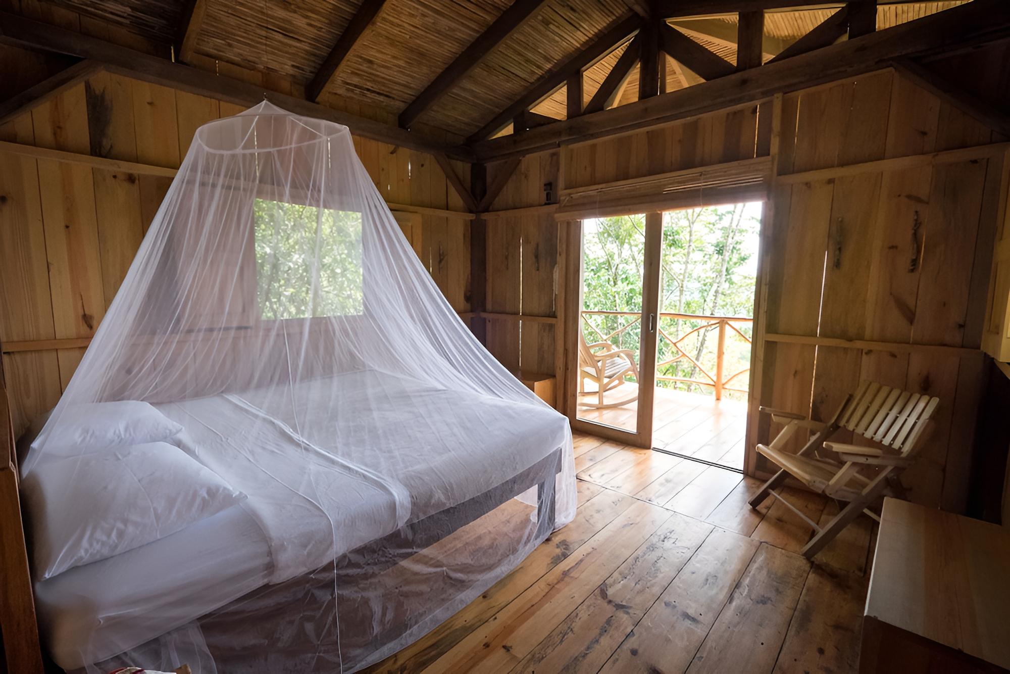 Standard Cabin, Mountain View, Mountainside photo 2
