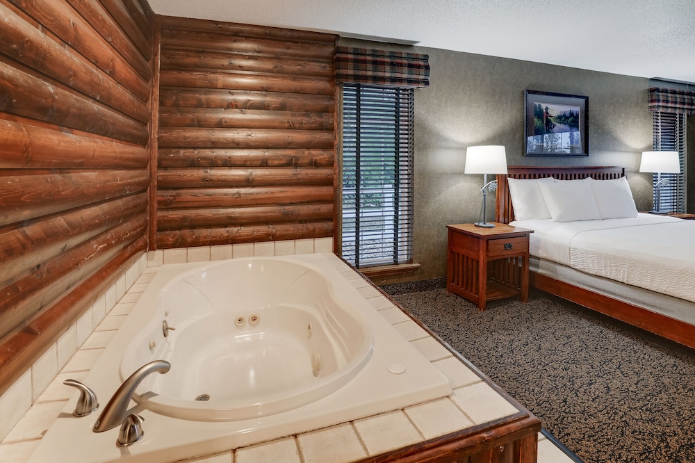 Theme Suite with Whirlpool - Photo 4