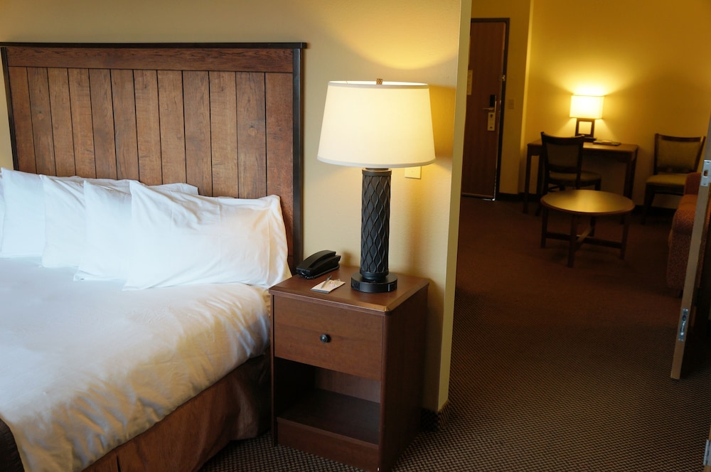 Premier Suite, 1 King Bed, Non Smoking (Second Floor) photo 3