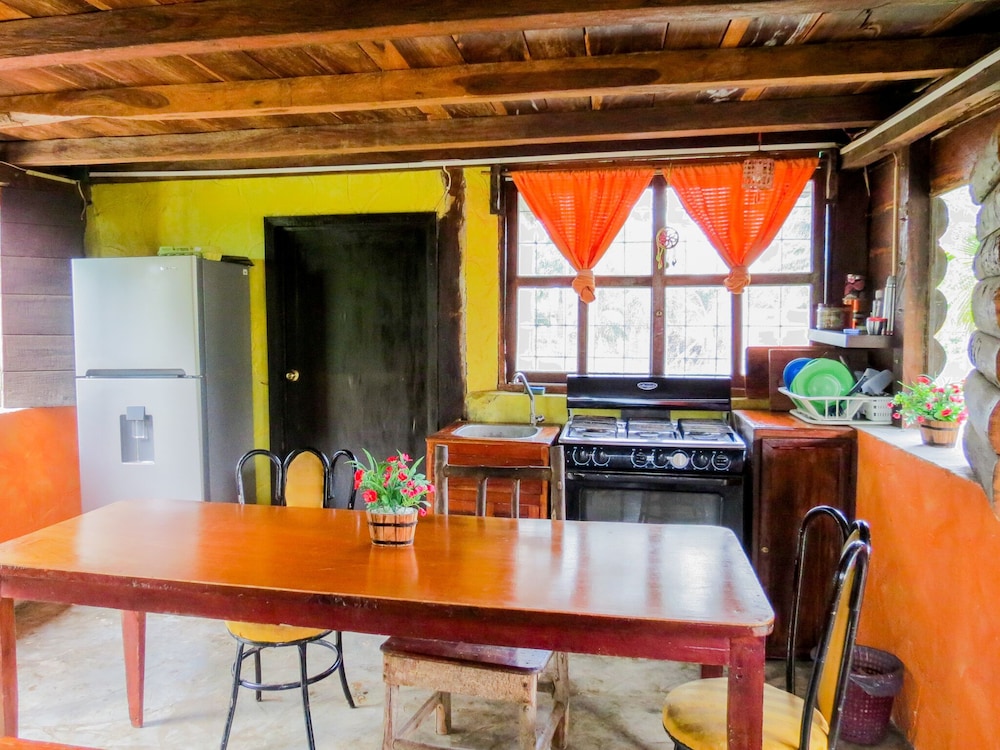 Superior Cabin, 1 Bedroom, Kitchen photo 3