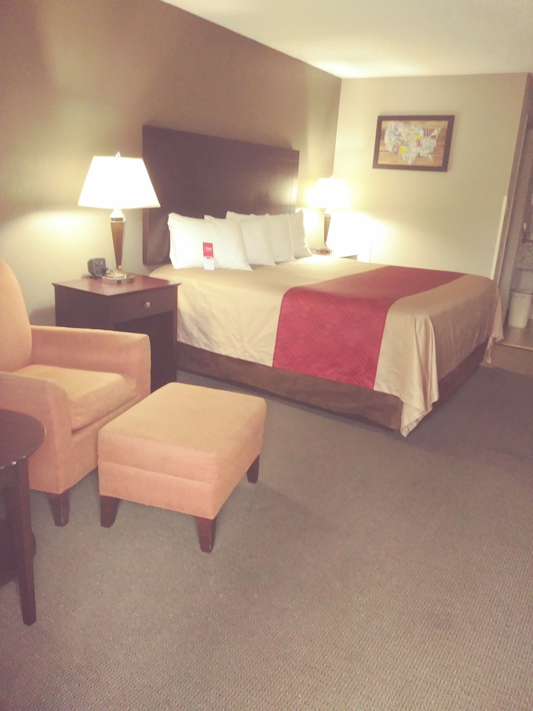 Standard Room, 1 King Bed, Non Smoking - Photo 8
