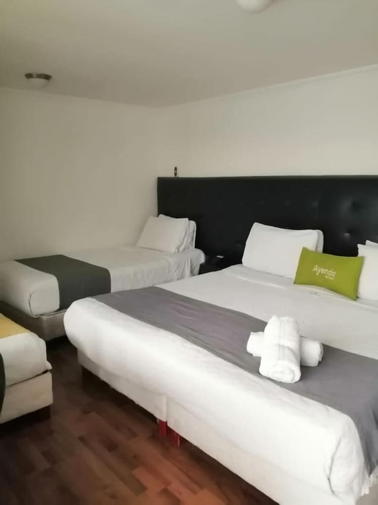 Basic Double Room