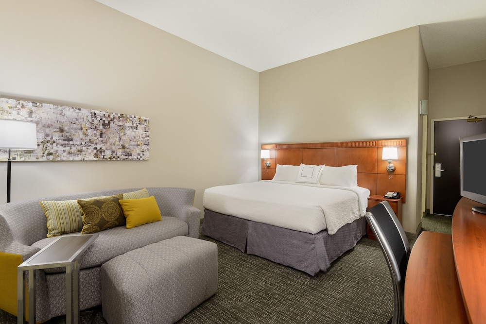 Room, 1 King Bed with Sofa bed (Mobility/Hearing Access, Roll-In Shwr)