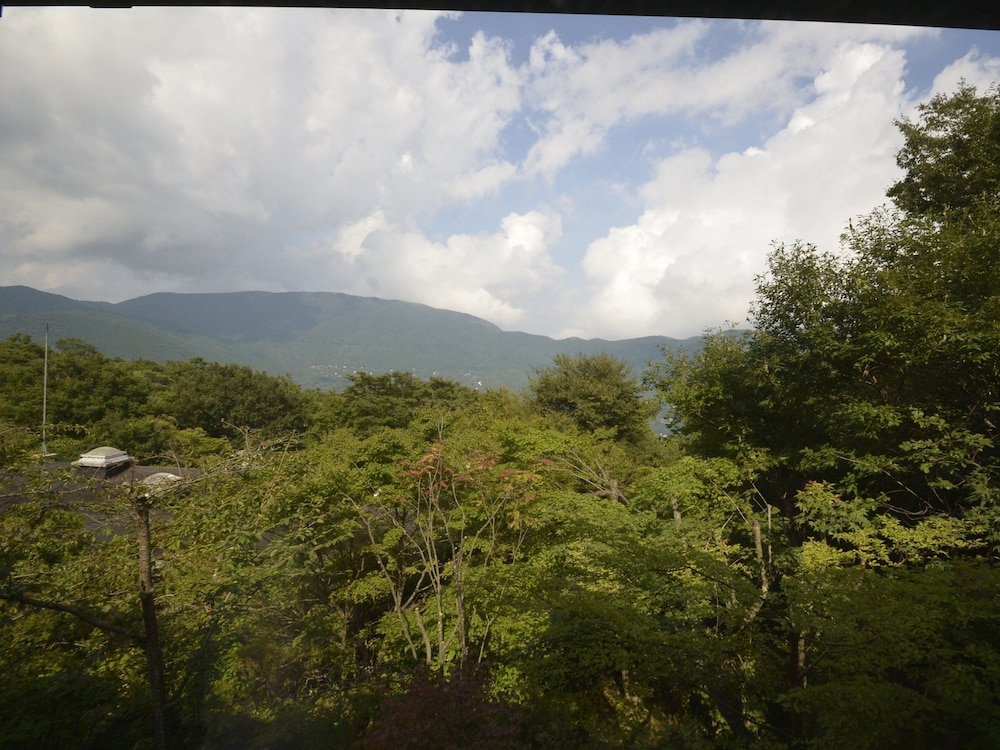 Twin Room w/ Private Onsen & Terrace (1F) Halfboard (Breakfast & Dinner), Check-in 3pm-6pm photo 3